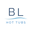 Blue Lagoon Hot Tubs logo